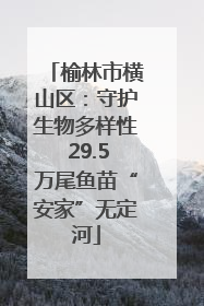 榆林市横山区：守护生物多样性 29.5万尾鱼苗“安家”无定河