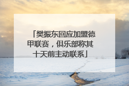 樊振东回应加盟德甲联赛，俱乐部称其十天前主动联系