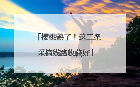 樱桃熟了！这三条采摘线路收藏好