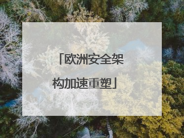 欧洲安全架构加速重塑