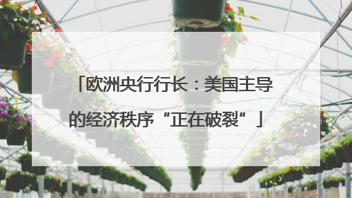 欧洲央行行长：美国主导的经济秩序“正在破裂”