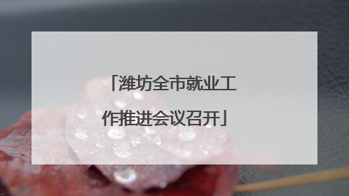 潍坊全市就业工作推进会议召开