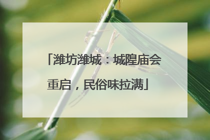 潍坊潍城：城隍庙会重启，民俗味拉满