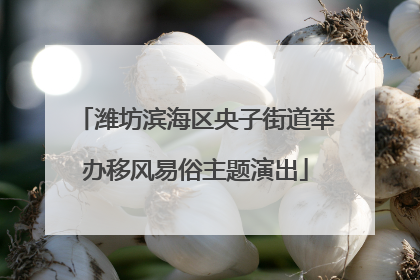 潍坊滨海区央子街道举办移风易俗主题演出