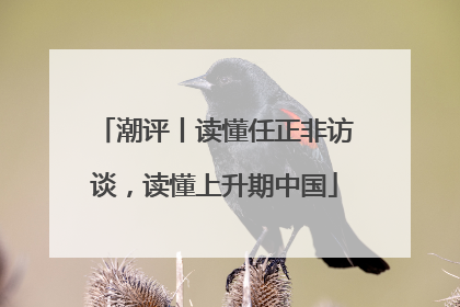 潮评丨读懂任正非访谈，读懂上升期中国