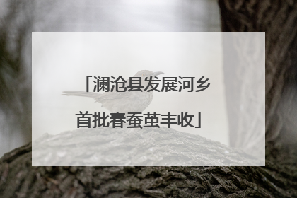 澜沧县发展河乡首批春蚕茧丰收