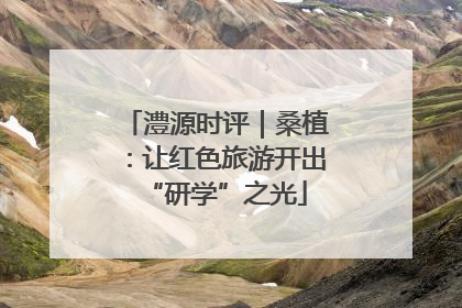 澧源时评｜桑植：让红色旅游开出“研学”之光