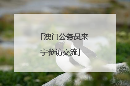 澳门公务员来宁参访交流