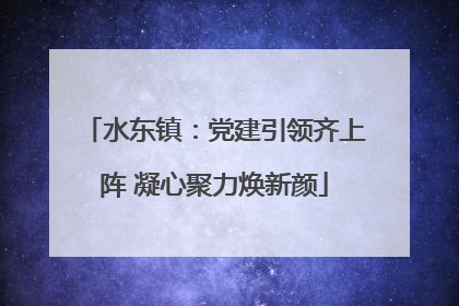 水东镇：党建引领齐上阵 凝心聚力焕新颜