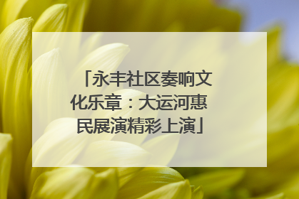 永丰社区奏响文化乐章：大运河惠民展演精彩上演