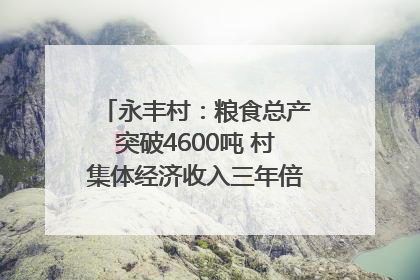 永丰村：粮食总产突破4600吨 村集体经济收入三年倍增｜牵挂的村