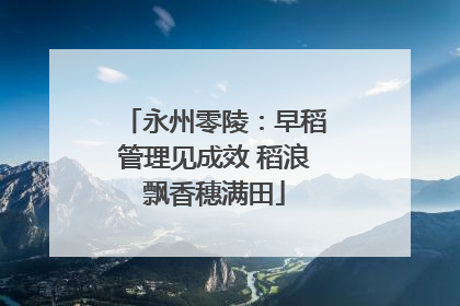 永州零陵：早稻管理见成效 稻浪飘香穗满田