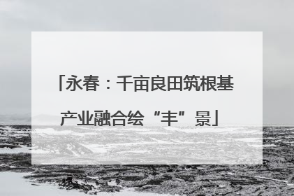 永春：千亩良田筑根基 产业融合绘“丰”景