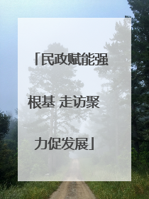 民政赋能强根基 走访聚力促发展