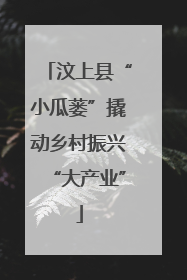 汶上县“小瓜蒌”撬动乡村振兴“大产业”