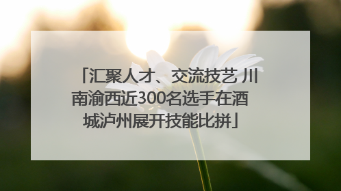 汇聚人才、交流技艺 川南渝西近300名选手在酒城泸州展开技能比拼