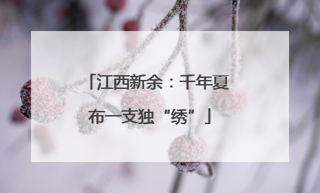 江西新余：千年夏布一支独“绣”