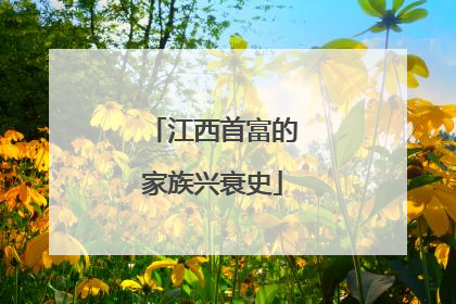 江西首富的家族兴衰史