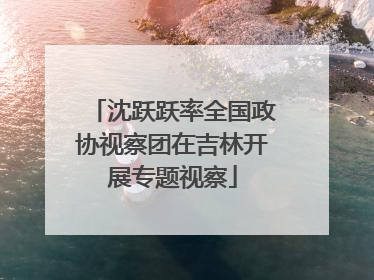沈跃跃率全国政协视察团在吉林开展专题视察