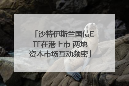 沙特伊斯兰国债ETF在港上市 两地资本市场互动频密