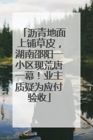 沥青地面上铺草皮，湖南邵阳一小区现荒唐一幕！业主质疑为应付验收