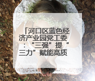 河口区蓝色经济产业园党工委：“三强”提“三力”赋能高质量发展