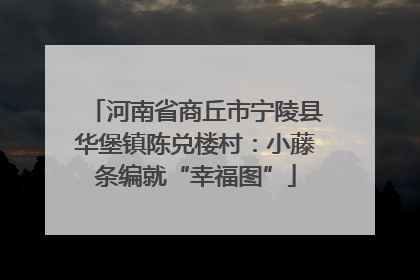 河南省商丘市宁陵县华堡镇陈兑楼村：小藤条编就“幸福图”