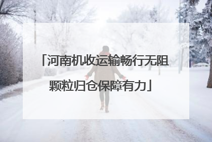 河南机收运输畅行无阻 颗粒归仓保障有力
