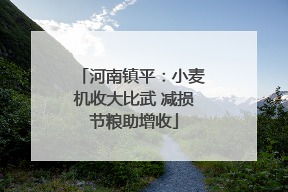 河南镇平：小麦机收大比武 减损节粮助增收
