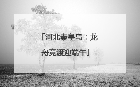 河北秦皇岛：龙舟竞渡迎端午