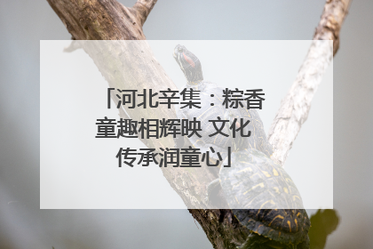 河北辛集：粽香童趣相辉映 文化传承润童心