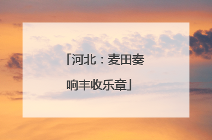 河北：麦田奏响丰收乐章