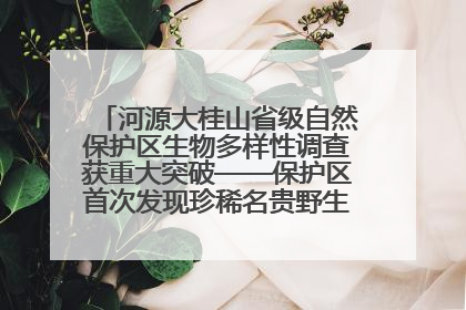 河源大桂山省级自然保护区生物多样性调查获重大突破——保护区首次发现珍稀名贵野生干巴菌与钝尾两头蛇