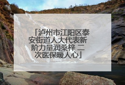 泸州市江阳区泰安街道人大代表新阶力量润桑梓 二次医保暖人心