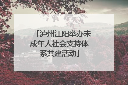 泸州江阳举办未成年人社会支持体系共建活动