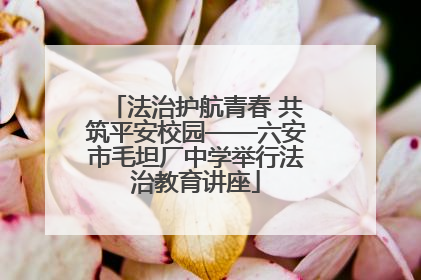 法治护航青春 共筑平安校园——六安市毛坦厂中学举行法治教育讲座