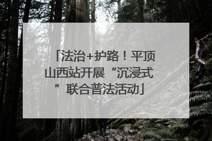 法治+护路！平顶山西站开展“沉浸式”联合普法活动