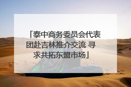 泰中商务委员会代表团赴吉林推介交流 寻求共拓东盟市场
