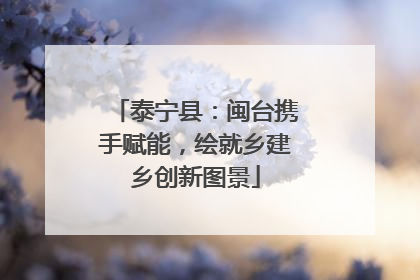 泰宁县：闽台携手赋能，绘就乡建乡创新图景