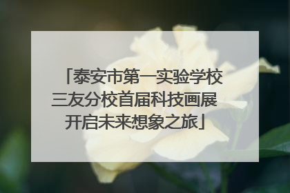 泰安市第一实验学校三友分校首届科技画展开启未来想象之旅