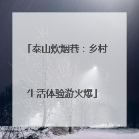 泰山炊烟巷：乡村生活体验游火爆