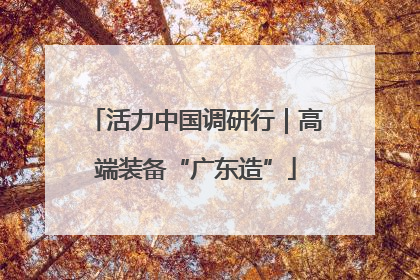 活力中国调研行｜高端装备“广东造”