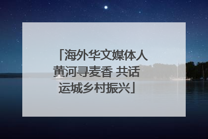 海外华文媒体人黄河寻麦香 共话运城乡村振兴