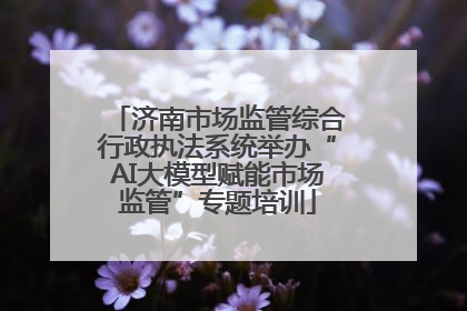 济南市场监管综合行政执法系统举办“AI大模型赋能市场监管”专题培训