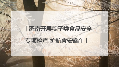 济南开展粽子类食品安全专项检查 护航食安端午
