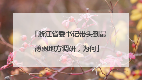 浙江省委书记带头到最薄弱地方调研，为何