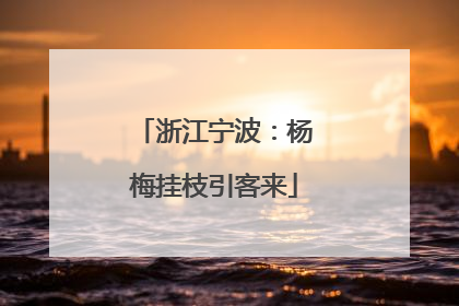 浙江宁波：杨梅挂枝引客来