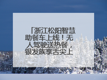浙江松阳智慧助餐车上线！无人驾驶送热餐，银发族享舌尖上的科技关怀