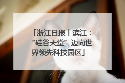 浙江日报丨滨江：“硅谷天堂”迈向世界领先科技园区