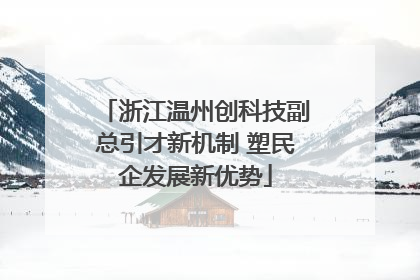 浙江温州创科技副总引才新机制 塑民企发展新优势